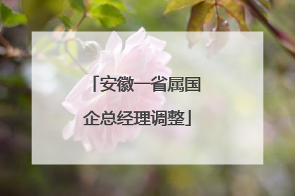 安徽一省属国企总经理调整